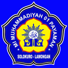 MI 1 Payaman